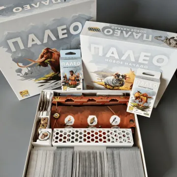 Органайзер для «Палео» и дополнений